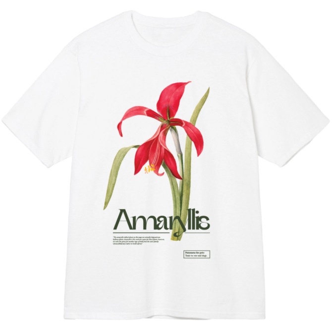 T-shirt Amaryllis