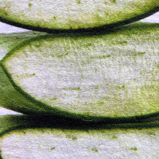 T-shirt Feuilles d'Aloe Vera