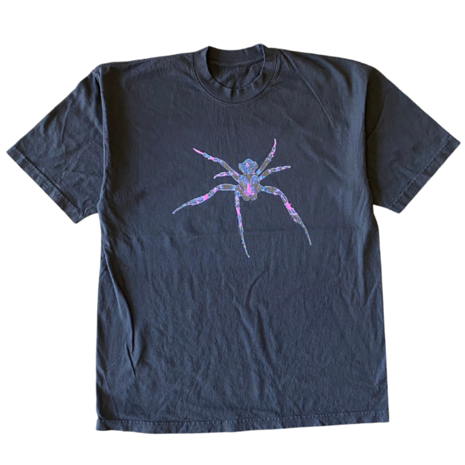 T-shirt Araignée Araneus