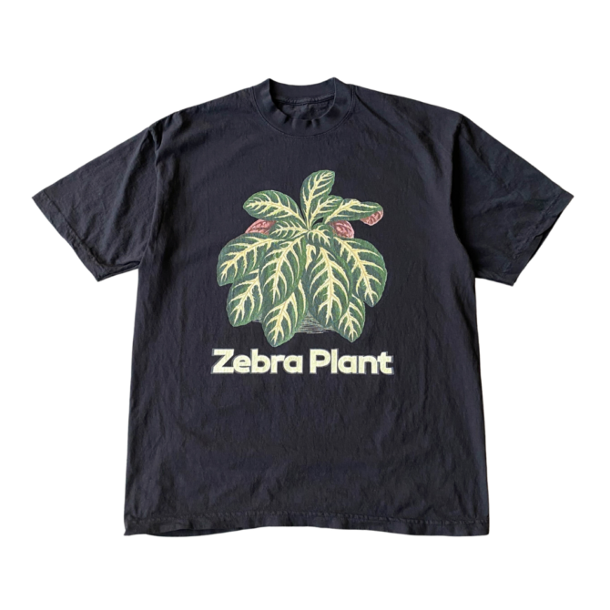 T-shirt Plante Zèbre