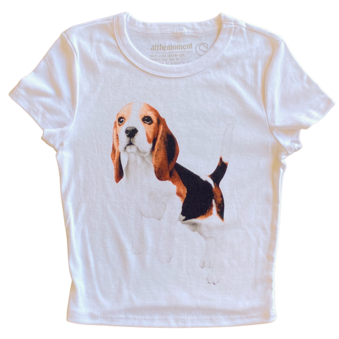 T-shirt Côtes Fines Femme Beagle