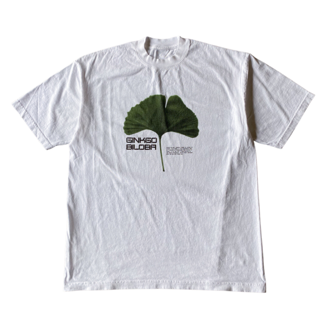 T-shirt Ginkgo Biloba