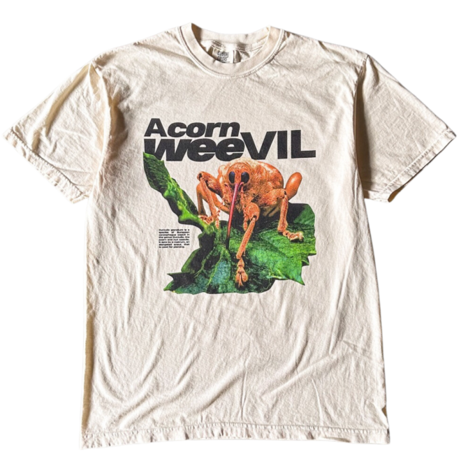 T-Shirt Acorn Weevil Stare