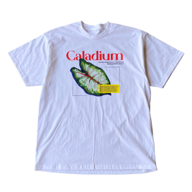 T-shirt Caladium