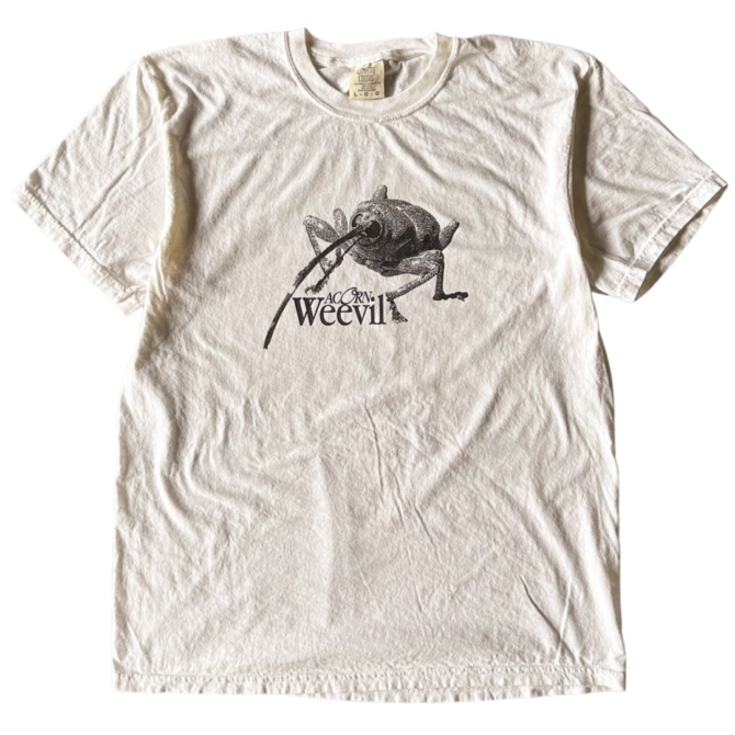 T-Shirt Acorn Weevil