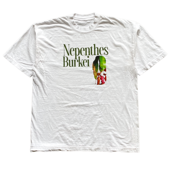 T-shirt Nepenthes Burkei