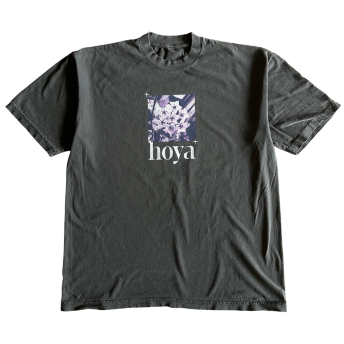 T-shirt Hoya Pourpre