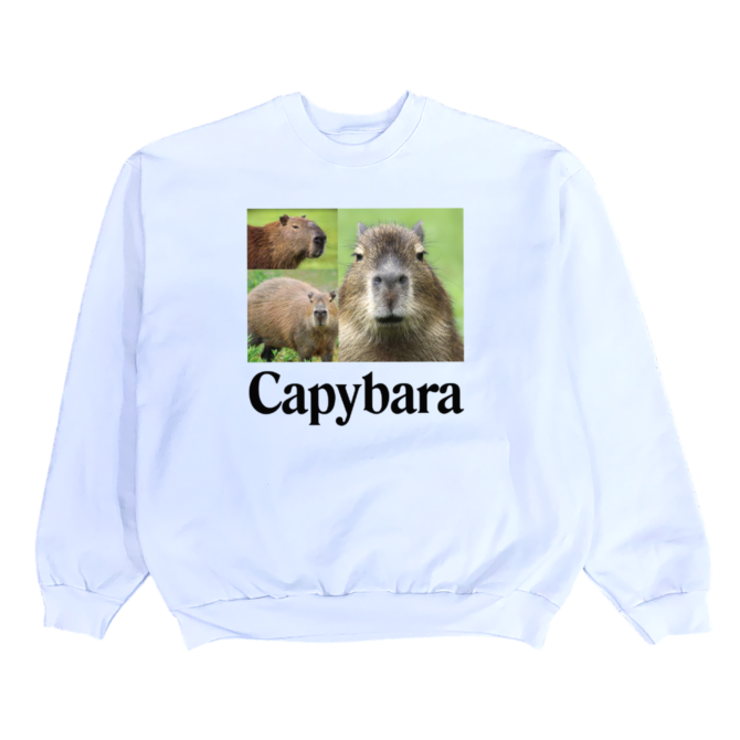 T-shirt Capybara