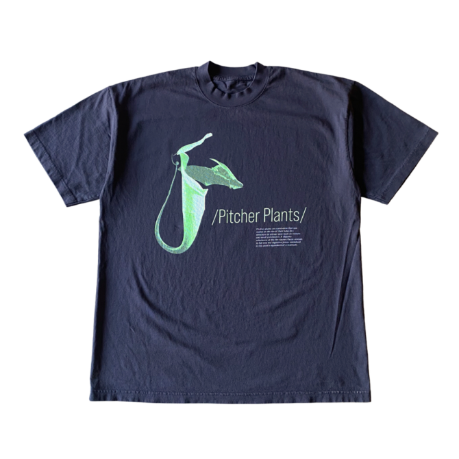 T-shirt Plantes Pitcher v1