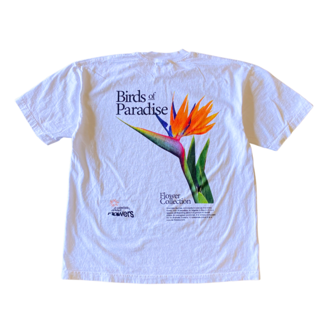 T-shirt Paradis des Oiseaux