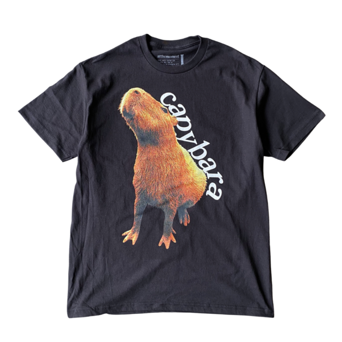 T-shirt Capybara Stretch