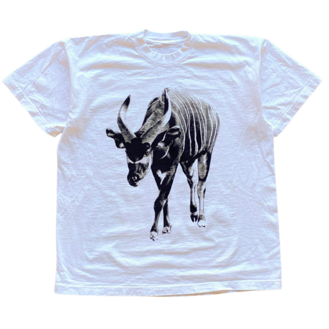 T-shirt Antilope Bongo v2