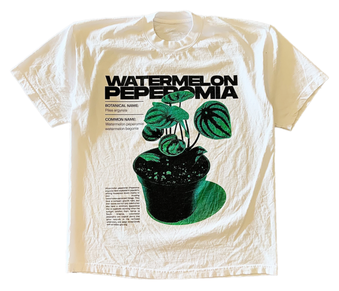 T-shirt Peperomia Pastèque v1