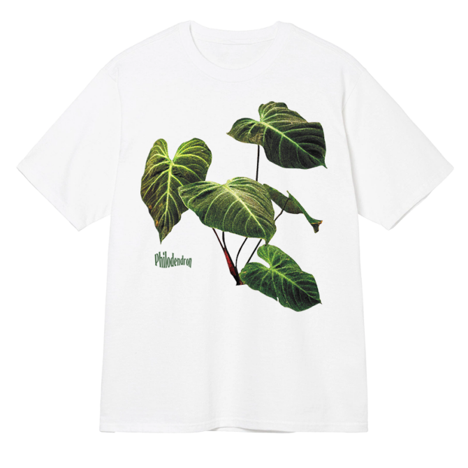 T-shirt Philodendron v2