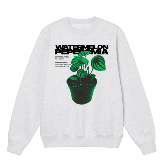 Crewneck Peperomia Pastèque